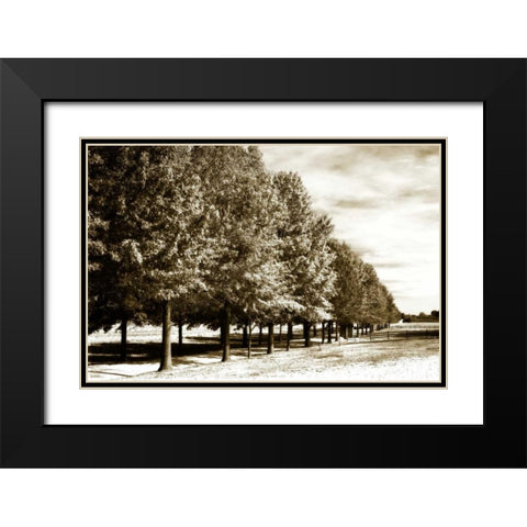 Plantation Road I Black Modern Wood Framed Art Print with Double Matting by Hausenflock, Alan