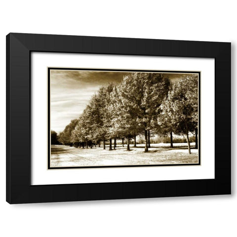 Plantation Road II Black Modern Wood Framed Art Print with Double Matting by Hausenflock, Alan