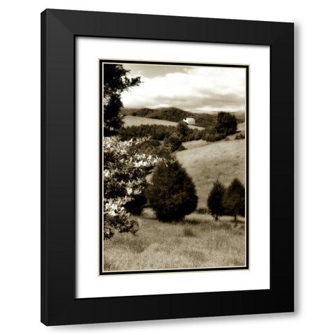 Madison County II Black Modern Wood Framed Art Print with Double Matting by Hausenflock, Alan