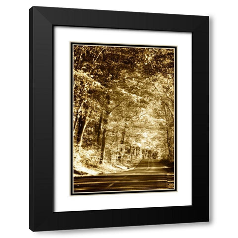 Autumn Wood Road III Black Modern Wood Framed Art Print with Double Matting by Hausenflock, Alan