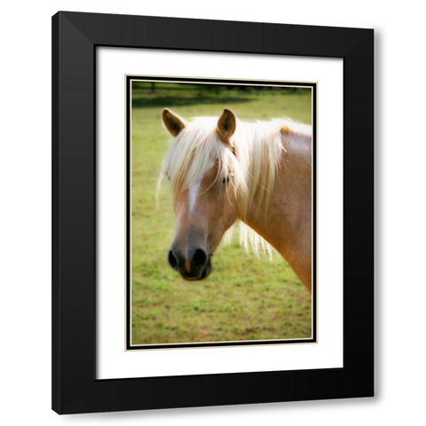 Sonny Black Modern Wood Framed Art Print with Double Matting by Hausenflock, Alan