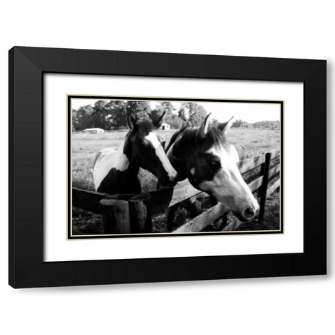 Stormy and Foal II Black Modern Wood Framed Art Print with Double Matting by Hausenflock, Alan