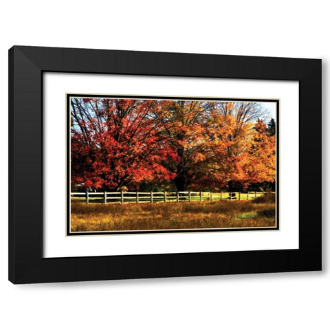 Autumn in the Fields Black Modern Wood Framed Art Print with Double Matting by Hausenflock, Alan