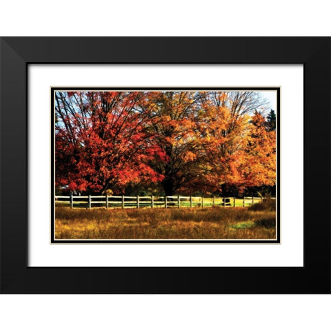 Autumn in the Fields Black Modern Wood Framed Art Print with Double Matting by Hausenflock, Alan