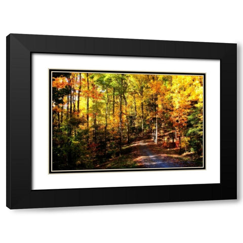 The Road Home Black Modern Wood Framed Art Print with Double Matting by Hausenflock, Alan