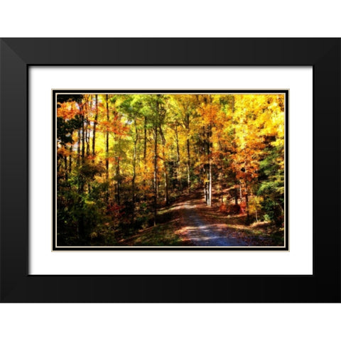 The Road Home Black Modern Wood Framed Art Print with Double Matting by Hausenflock, Alan