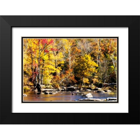 Autumn on the River VII Black Modern Wood Framed Art Print with Double Matting by Hausenflock, Alan