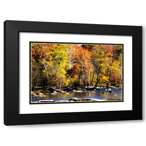 Autumn on the River VIII Black Modern Wood Framed Art Print with Double Matting by Hausenflock, Alan