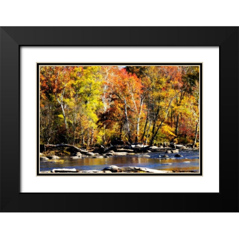 Autumn on the River VIII Black Modern Wood Framed Art Print with Double Matting by Hausenflock, Alan