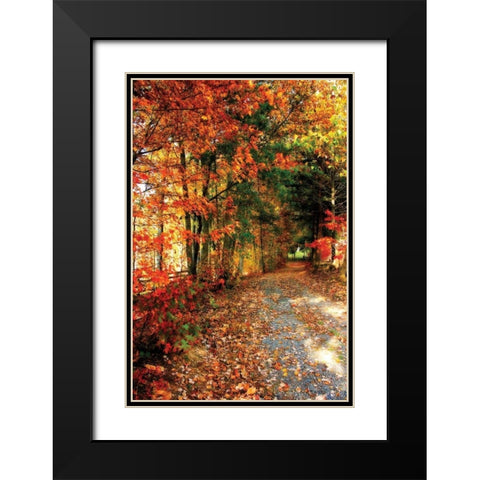 Autumn Pathway Black Modern Wood Framed Art Print with Double Matting by Hausenflock, Alan