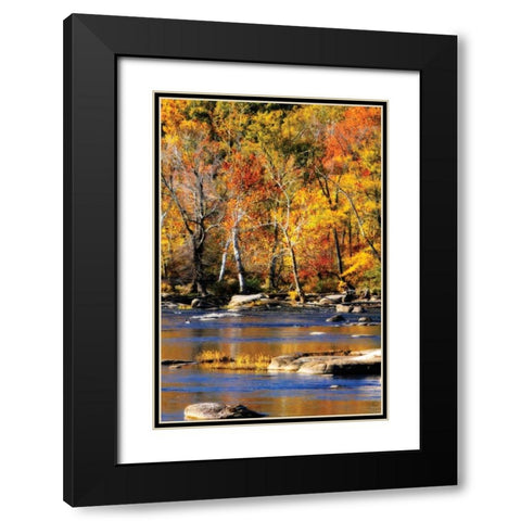 Autumn on the River I2 Black Modern Wood Framed Art Print with Double Matting by Hausenflock, Alan