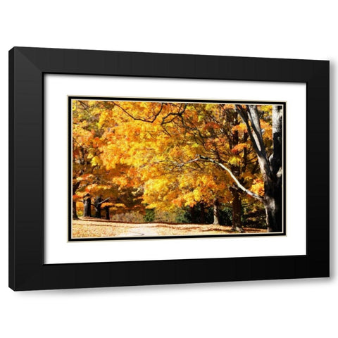 Sugar Maples II Black Modern Wood Framed Art Print with Double Matting by Hausenflock, Alan