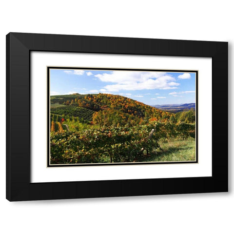 Mountain Vineyard I Black Modern Wood Framed Art Print with Double Matting by Hausenflock, Alan