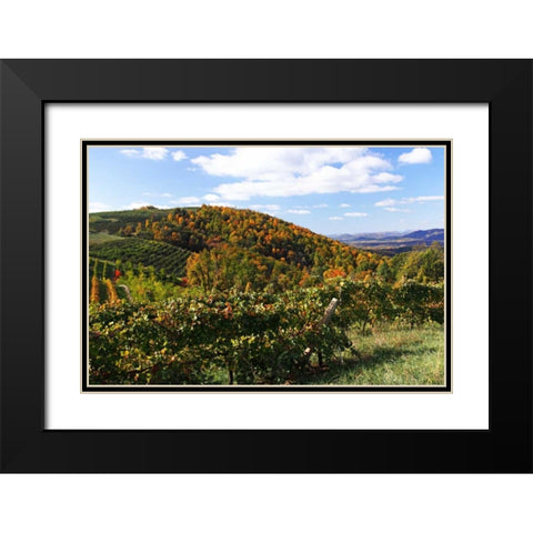 Mountain Vineyard I Black Modern Wood Framed Art Print with Double Matting by Hausenflock, Alan