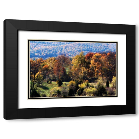 Autumn Foothills I Black Modern Wood Framed Art Print with Double Matting by Hausenflock, Alan