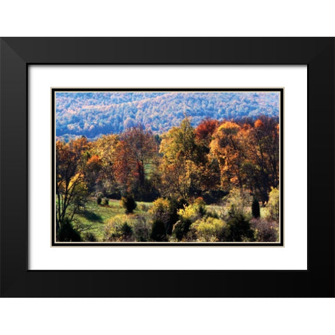 Autumn Foothills I Black Modern Wood Framed Art Print with Double Matting by Hausenflock, Alan