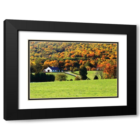 Mountain Farm I Black Modern Wood Framed Art Print with Double Matting by Hausenflock, Alan