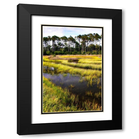 Down East II Black Modern Wood Framed Art Print with Double Matting by Hausenflock, Alan