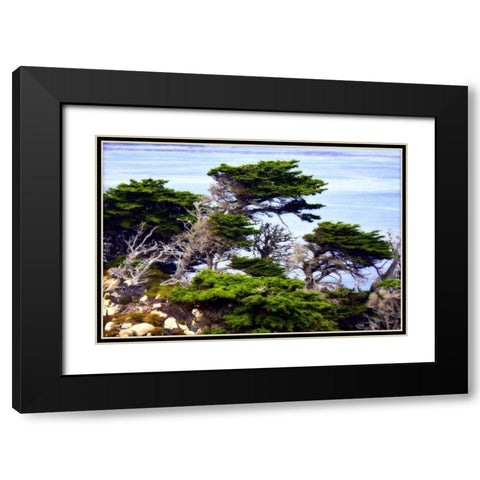 North Point I Black Modern Wood Framed Art Print with Double Matting by Hausenflock, Alan
