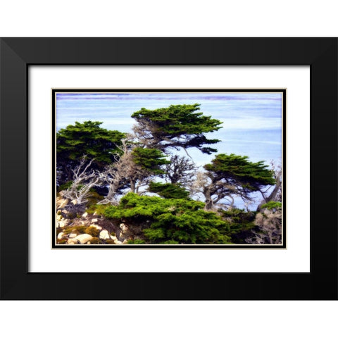 North Point I Black Modern Wood Framed Art Print with Double Matting by Hausenflock, Alan