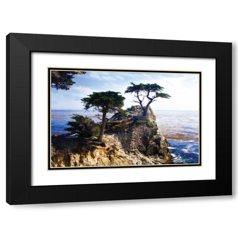 Lone Cypress II Black Modern Wood Framed Art Print with Double Matting by Hausenflock, Alan