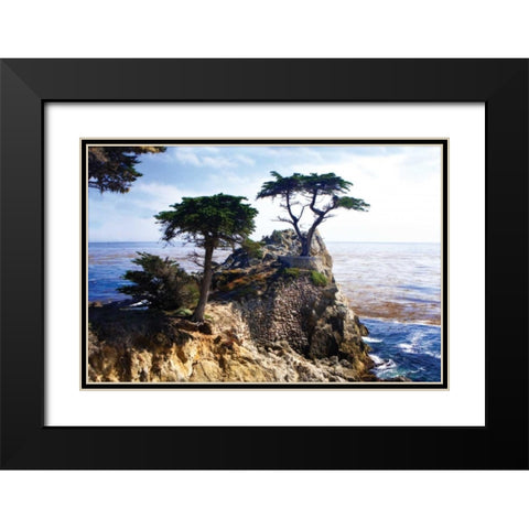 Lone Cypress II Black Modern Wood Framed Art Print with Double Matting by Hausenflock, Alan