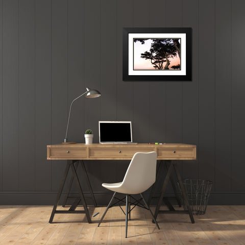 Cypress Silhouette III Black Modern Wood Framed Art Print with Double Matting by Hausenflock, Alan