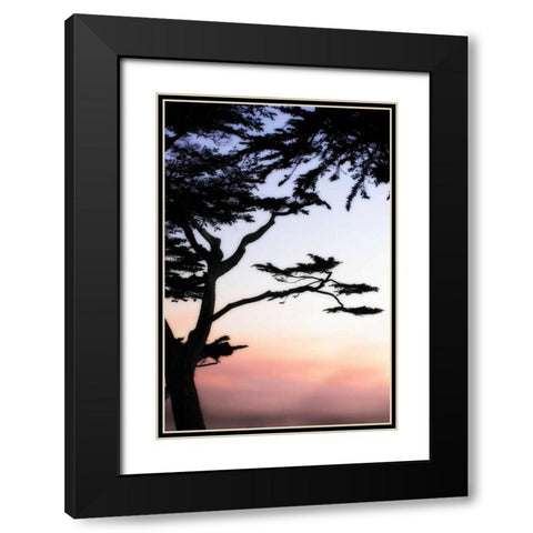 Cypress Silhouette IV Black Modern Wood Framed Art Print with Double Matting by Hausenflock, Alan