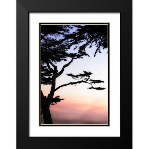 Cypress Silhouette IV Black Modern Wood Framed Art Print with Double Matting by Hausenflock, Alan