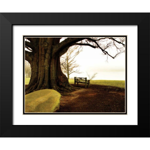 Fog on the James I Black Modern Wood Framed Art Print with Double Matting by Hausenflock, Alan