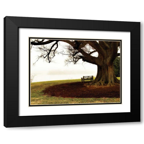 Fog on the James II Black Modern Wood Framed Art Print with Double Matting by Hausenflock, Alan