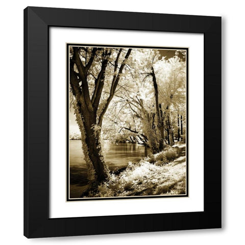 Spring on the River II Black Modern Wood Framed Art Print with Double Matting by Hausenflock, Alan