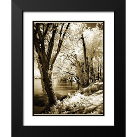 Spring on the River II Black Modern Wood Framed Art Print with Double Matting by Hausenflock, Alan