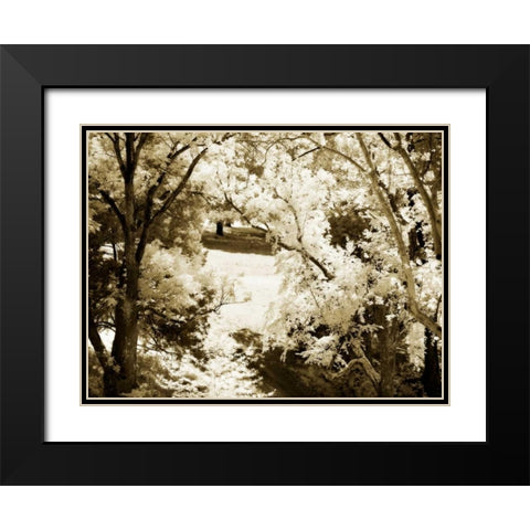 Sunlit Meadows II Black Modern Wood Framed Art Print with Double Matting by Hausenflock, Alan