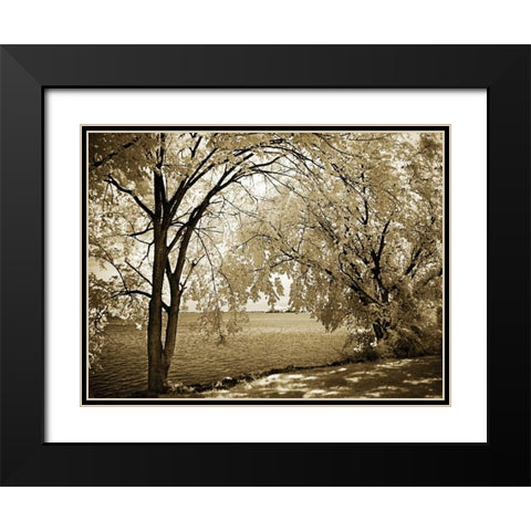 Hopewell Shores I Black Modern Wood Framed Art Print with Double Matting by Hausenflock, Alan