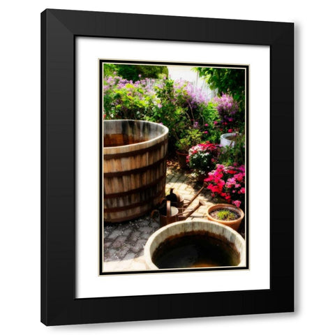 The Garden Nook II Black Modern Wood Framed Art Print with Double Matting by Hausenflock, Alan