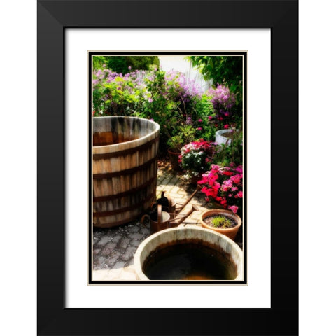 The Garden Nook II Black Modern Wood Framed Art Print with Double Matting by Hausenflock, Alan