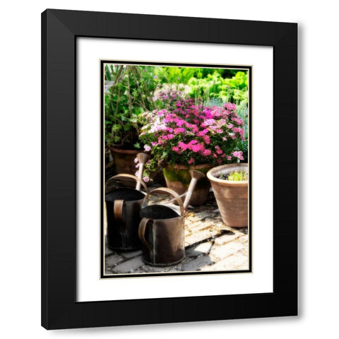 The Garden Nook III Black Modern Wood Framed Art Print with Double Matting by Hausenflock, Alan