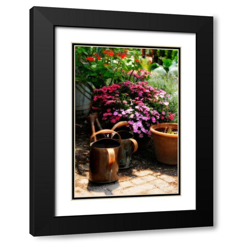 The Garden Nook IV Black Modern Wood Framed Art Print with Double Matting by Hausenflock, Alan