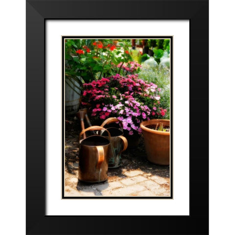 The Garden Nook IV Black Modern Wood Framed Art Print with Double Matting by Hausenflock, Alan