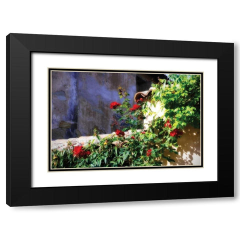 Flowers on a Mission Wall III Black Modern Wood Framed Art Print with Double Matting by Hausenflock, Alan