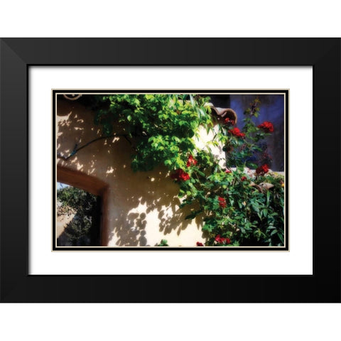 Flowers on a Mission Wall IV Black Modern Wood Framed Art Print with Double Matting by Hausenflock, Alan