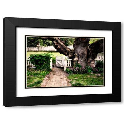 Grandfather Tree I Black Modern Wood Framed Art Print with Double Matting by Hausenflock, Alan