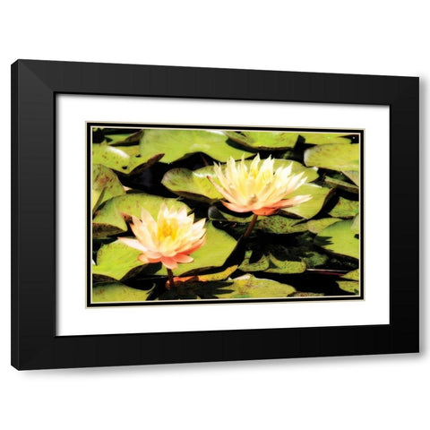 Blushing Lilies I Black Modern Wood Framed Art Print with Double Matting by Hausenflock, Alan