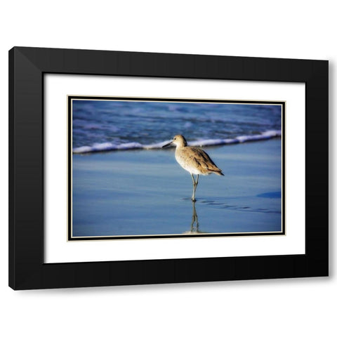 Sandpiper in the Surf I Black Modern Wood Framed Art Print with Double Matting by Hausenflock, Alan