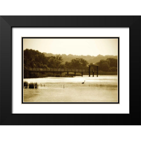 Lagoon I Black Modern Wood Framed Art Print with Double Matting by Hausenflock, Alan