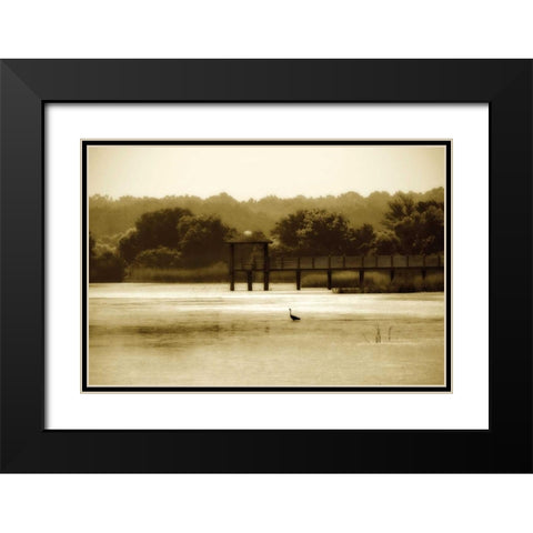 Lagoon II Black Modern Wood Framed Art Print with Double Matting by Hausenflock, Alan