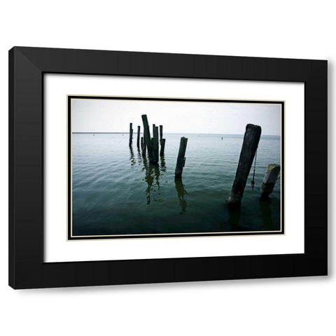 Pilings I Black Modern Wood Framed Art Print with Double Matting by Hausenflock, Alan