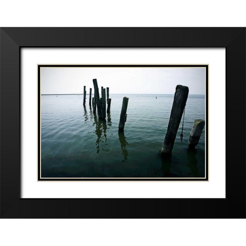 Pilings I Black Modern Wood Framed Art Print with Double Matting by Hausenflock, Alan