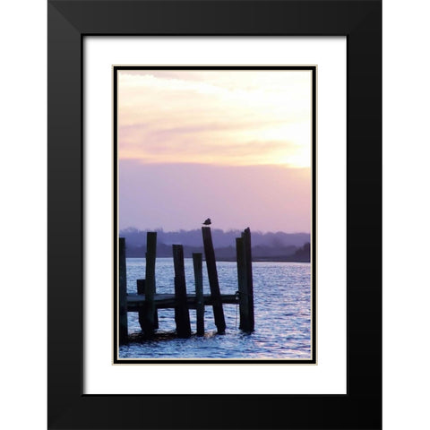 Seagulls at Sunset Black Modern Wood Framed Art Print with Double Matting by Hausenflock, Alan